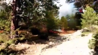 orman yangini -  Amasya’da orman yangını  Videosu
