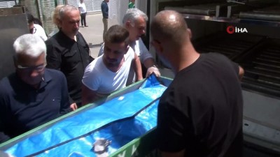 tutuklu sanik -  Bıçaklanarak öldürülen arkeoloğun katil zanlısı hakim karşısında Videosu