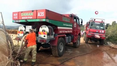 makilik alan -  Erdemli'de 10 hektar kızılçam ormanı yandı  Videosu
