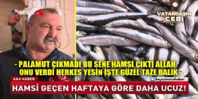 Hamsi geçen haftaya göre daha ucuz!