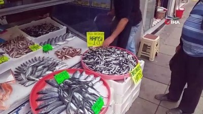 alamut -  Karadeniz'de hamsi bolluğu  Videosu