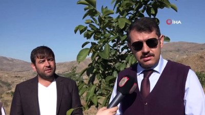 el emegi goz nuru -  İmranlı'da ormanı andıran Türkiye'nin en büyük 5. ceviz bahçesi havadan görüntülendi  Videosu