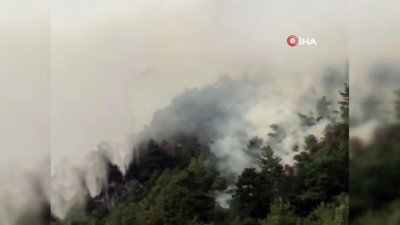 ormanli -  Kahramanmaraş’ta orman yangını  Videosu