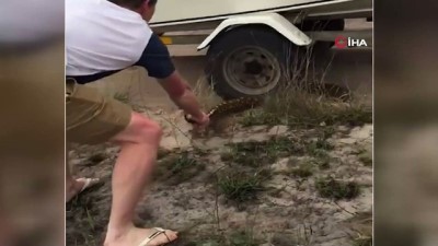 gezin -  - Dev pitonun saldırısından son anda kurtuldular  Videosu