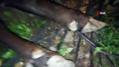 kacis - Kamyonun çarptığı mandalar telef oldu  Videosu