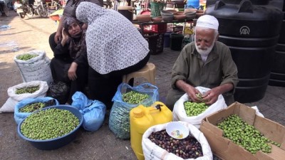 acik artirma - Gazze'nin kaliteli zeytinleri 50 yıldır Han Yunus'ta görücüye çıkıyor  Videosu