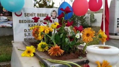 parmak izi - Şehit Bedirhan bebeğin mezarı balonlarla süslendi - SİVAS  Videosu