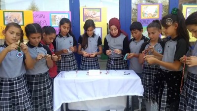 hayvan sevgisi - Yaptıkları iş küçük kalpleri büyük - AMASYA Videosu