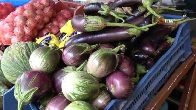 aski -  Hem ucuz, hem lezzetli 'Tombul Patlıcan Kıynağı'  Videosu