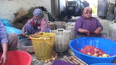 eziler - Kadınların nar ekşisi mesaisi başladı - MANİSA Videosu