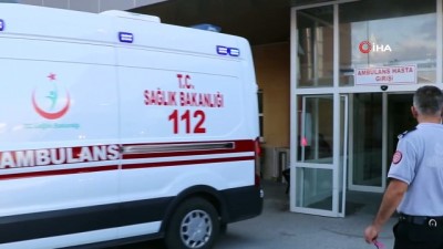  Baksı Müzesi kurucusu Koçan, ailesiyle birlikte trafik kazası geçirdi: 5 yaralı 