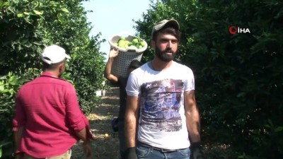 ozel okullar - Felsefe okudu, tarım işçisi oldu Videosu