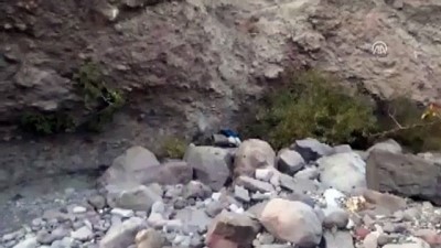 salda - Hayvanlarını otlatan çoban ölü bulundu - TUNCELİ Videosu