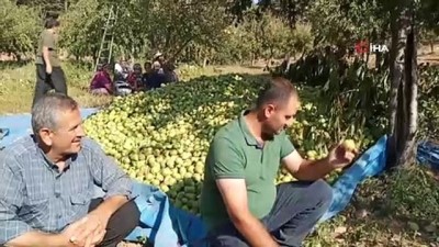 barbunya -  İslahiye’nin bin 600 rakımlı Huzurlu Yaylası’nda son ürünler hasat ediliyor Videosu