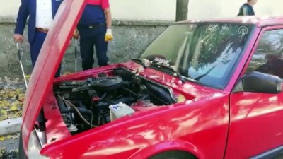 sparta - Otomobilin motoruna giren yılanı itfaiye çıkardı - ISPARTA Videosu