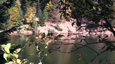 sonbahar - Bozcaarmut Göleti'nde renk cümbüşü - BİLECİK  Videosu