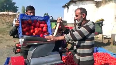 eziler - Çiftçilerin domates salçası mesaisi - MUŞ Videosu
