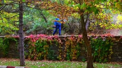 sonbahar - Kuğulu Milli Parkı sonbahar görüntüsüyle büyülüyor - KONYA  Videosu