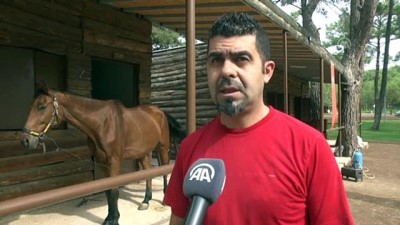 Milyonluk atların nalları Mustafa ustaya emanet - ANTALYA 