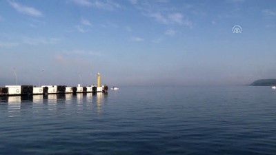 deniz ulasimi - Çanakkale Boğazı'nda gemi trafiğine sis engeli - ÇANAKKALE  Videosu