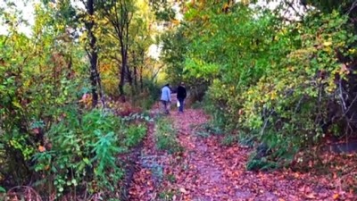 sonbahar - Üçkaya Vadisi 'doğa festivali' gibi - IĞDIR  Videosu