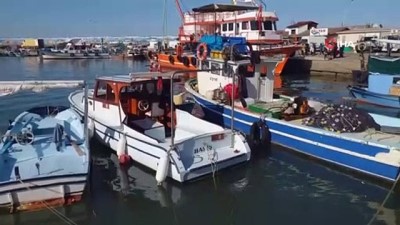 hamsi baligi -  Balıkçılar umudunu hamsiye bağladı  Videosu