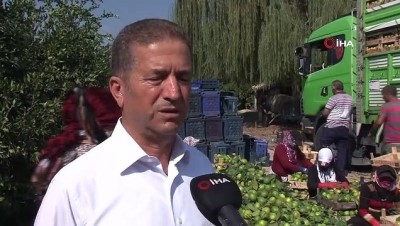 gumruk kapisi -  Irak’a mandalina ihracatı durdu, tırlar gümrükten döndü  Videosu