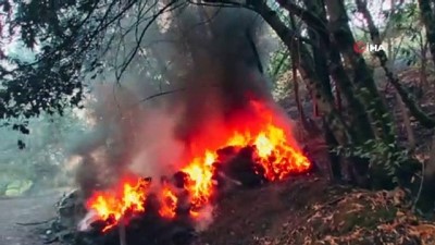 unluler -  - Kaliforniya Orman Yangınlarıyla Mücadele Ediyor
- Yağmalama Başladı, Ünlüler Evlerini Terk Etti Videosu