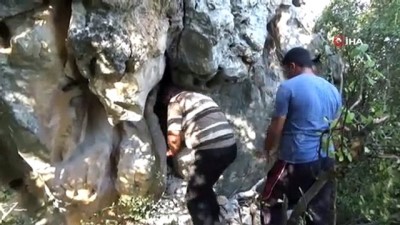 keci -  Kayalıkta mahsur kalan “Karakızı” Afad ve Jandarma kurardı Videosu