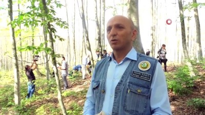 yol haritasi -  Tırtıllarla mücadele çalışmaları başladı  Videosu