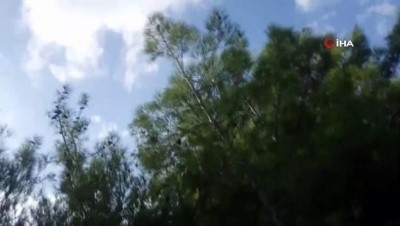 itfaiye araci -  Arsuz’da orman yangını  Videosu