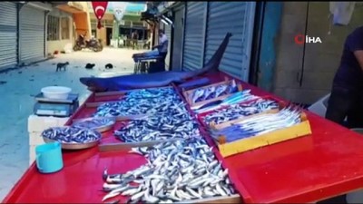 balik tezgahi -  Kanser hastaları için köpek balığı getirtti  Videosu