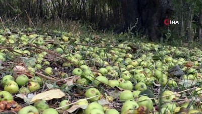 sonbahar -  Kars'tan kartpostallık sonbahar görüntüleri  Videosu