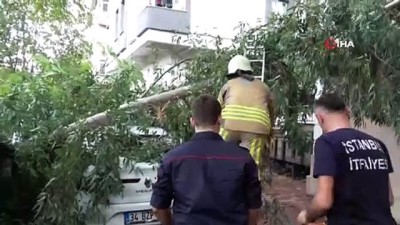 siddetli ruzgar -  Maltepe’de şiddetli rüzgar nedeniyle kopan ağaç otomobilin üzerinde devrildi  Videosu