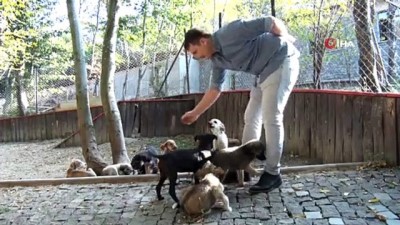 anne sevgisi -  Barınaktan köpek sahiplenenlere uyarı  Videosu
