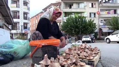 sonbahar -  Çıntar sezonu 20 TL’den açıldı  Videosu