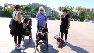pankreas - Yaşlı ve hasta köpeğine 'bebek' gibi bakıyor - SAMSUN  Videosu