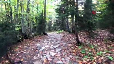 yerel gazete -  Karagöl Tabiat Parkı'nda sonbaharın gelişiyle oluşan renk cümbüşü havadan görüntülendi  Videosu