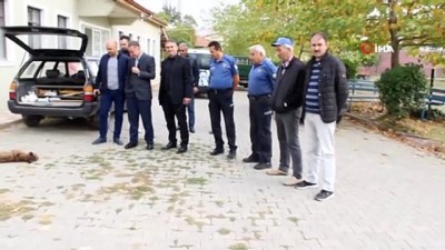 vasak -  - Nesli tükenme tehlikesinde olan vaşak ölü bulundu  Videosu