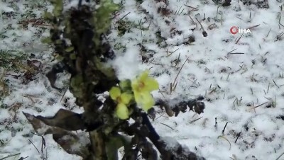 yazla -  Bolu’ya mevsimin ilk karı düştü Videosu