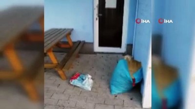 Köln’de camiye çirkin saldırı