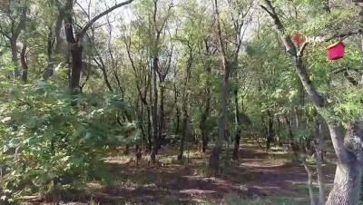 sonbahar -  Samsun’da sonbahar güzelliği  Videosu