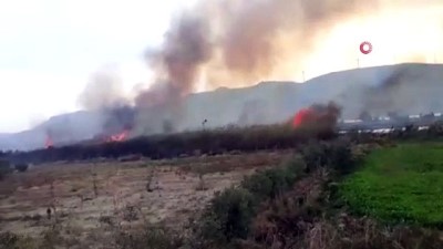 amator kamera -  Samandağ’da sazlık yangını  Videosu