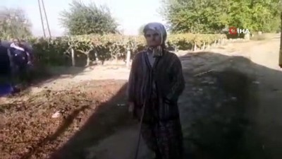  Üzüm bağında ataya saygı duruşu 