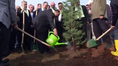 bolat - '11 Milyon Ağaç; Bugün Fidan, Yarın Nefes' kampanyası - BURSA  Videosu