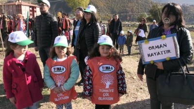 fidan dikim toreni - Milli Ağaçlandırma Günü - ARTVİN Videosu