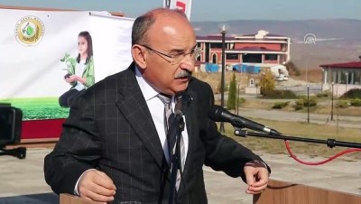 fidan dikim toreni - Milli Ağaçlandırma Günü - KASTAMONU Videosu