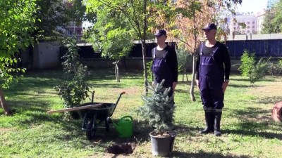 efes - Milli Ağaçlandırma Günü - SİİRT Videosu