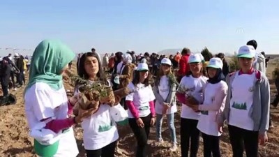 halk oyunlari - '11 Milyon Ağaç; Bugün Fidan, Yarın Nefes' programı - BURDUR  Videosu