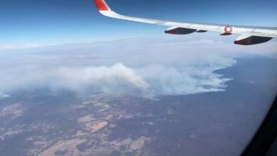  - Avustralya’daki orman yangınları Yeni Zelanda’ya doğru ilerliyor 